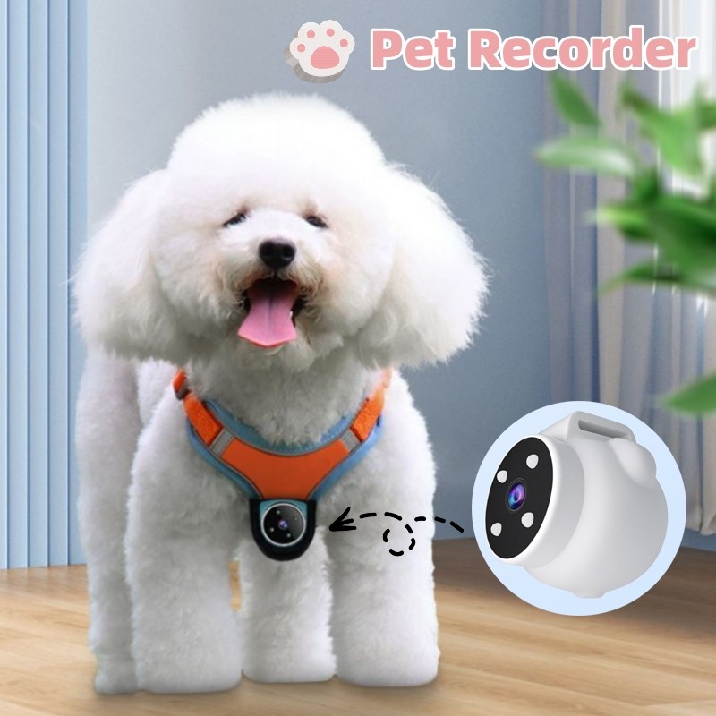 Pet Tracker Collar for Dogs and Cats: Viewing Angle Motion Recording