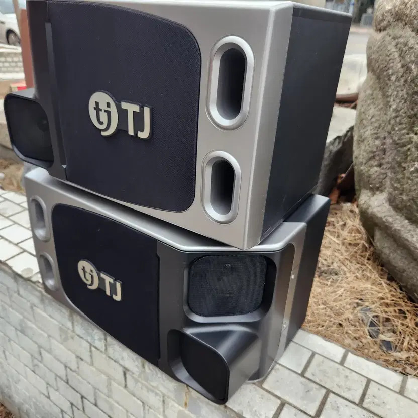 Taejin TJ Premium TS-H80 Karaoke Speaker