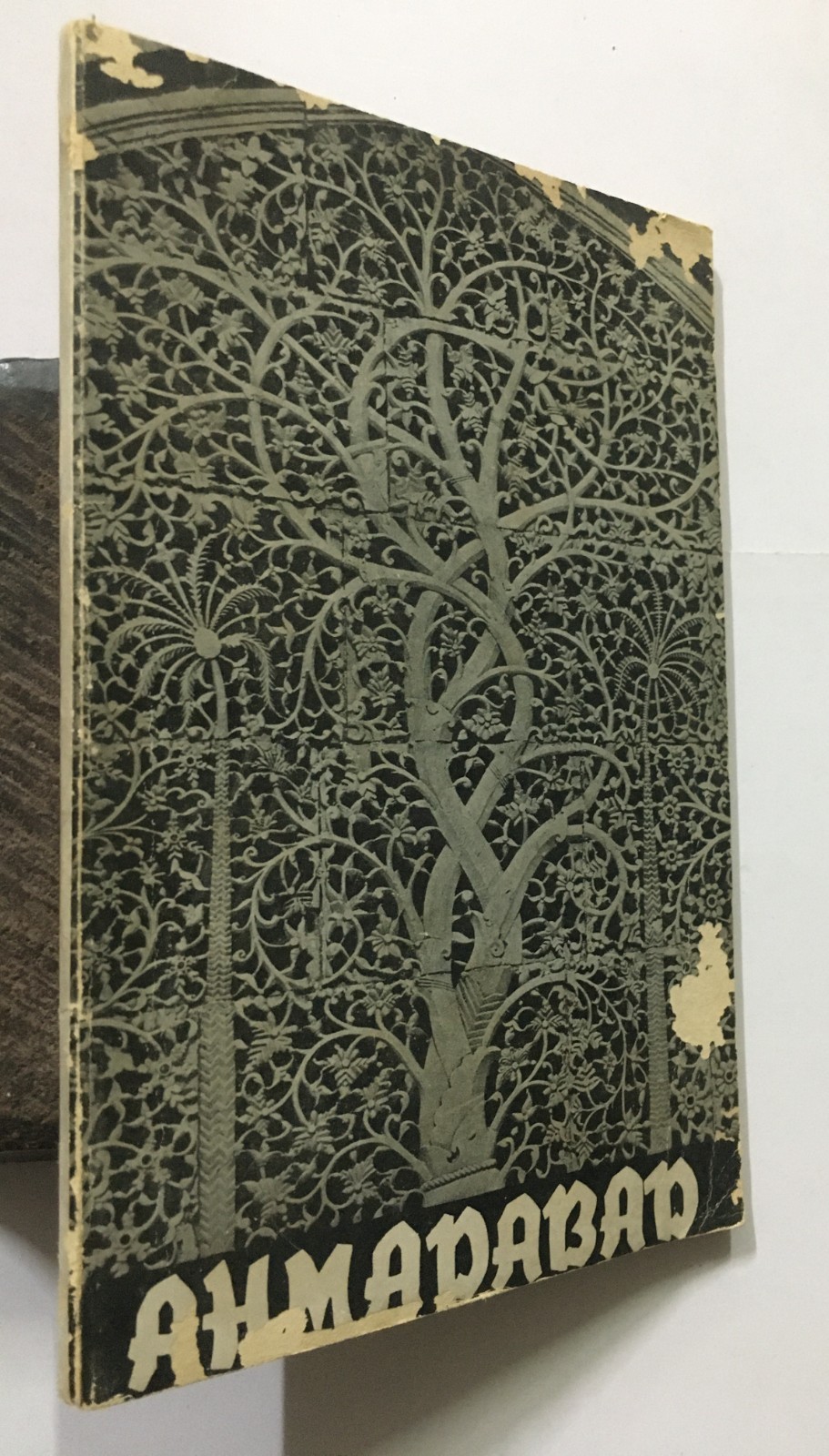 Rajan, K. V. Soundara: Ahmadabad. Archaeological Survey. 1980. New Delhi. 71p