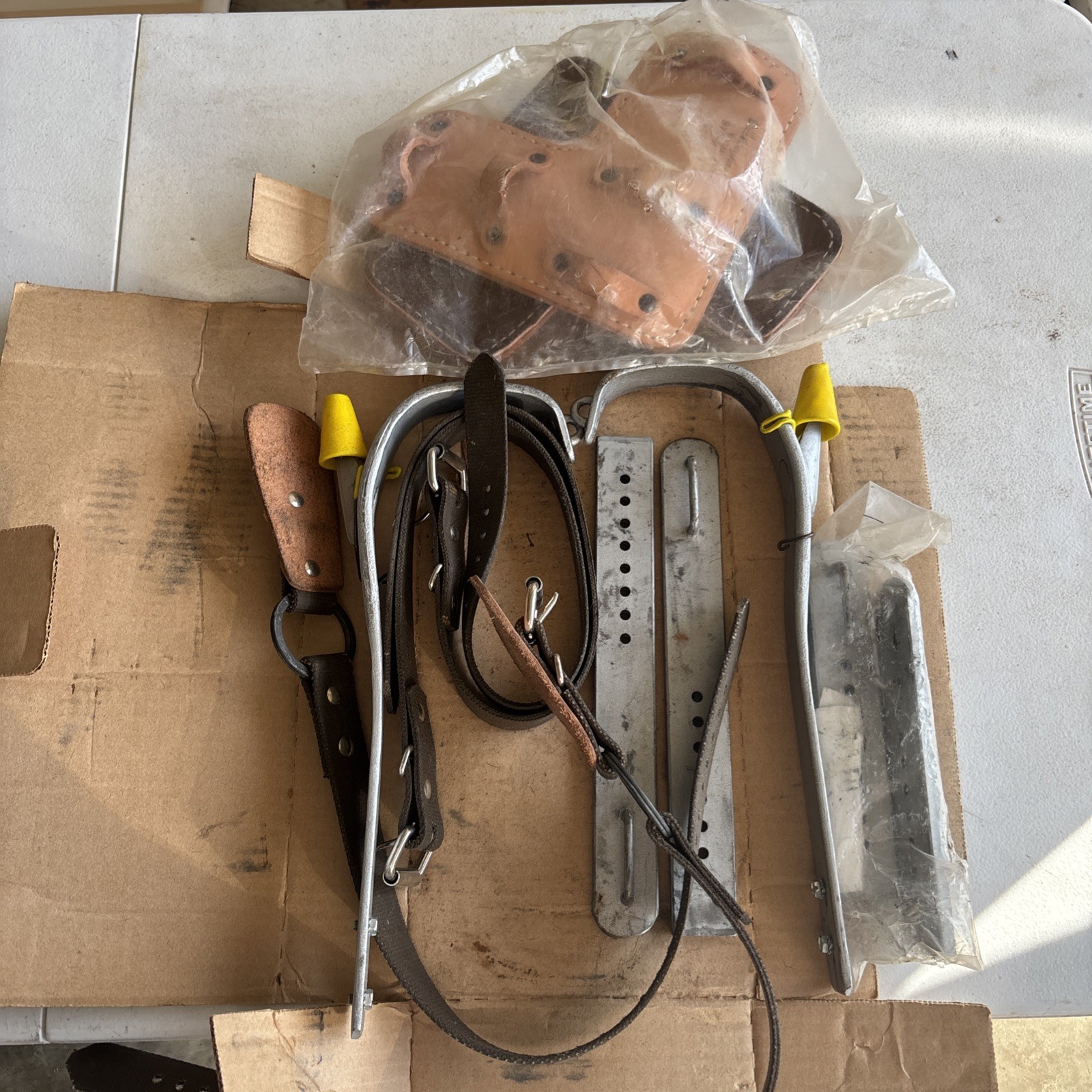 Buckingham Climbers Hooks Never Used