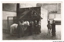 CAR-ABSP10-0803-CIRQUE - The Farm