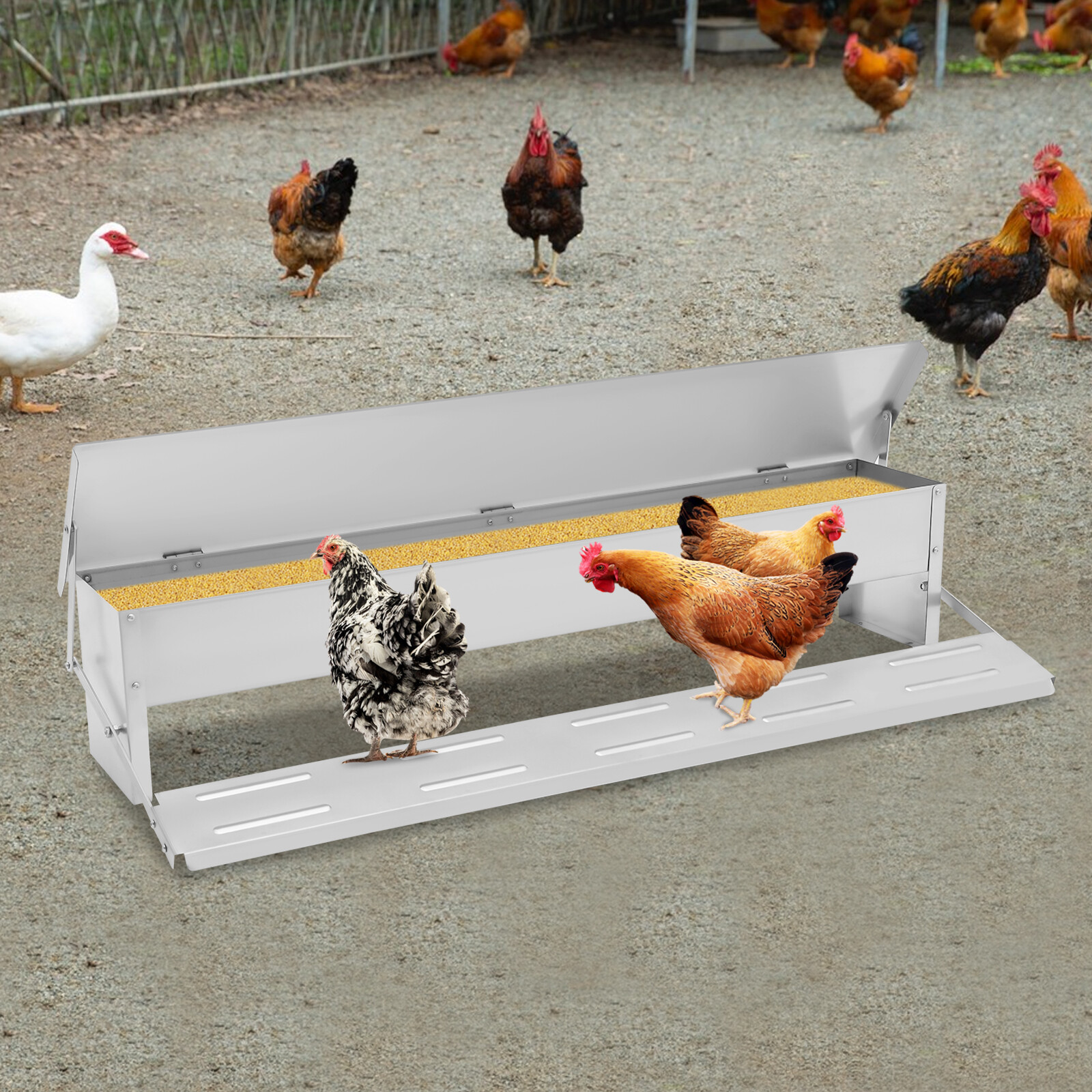 Automatic Chicken Feeder Galvanized Sheet Poultry Feed Protector 22lbs Capacity