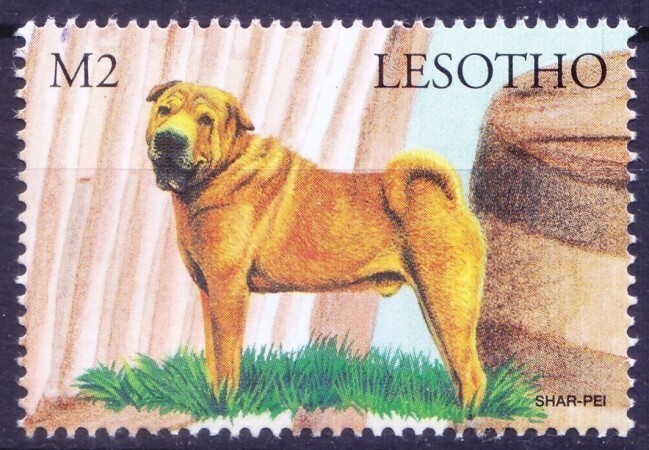Lesotho 1999 MNH, Shar-Pei Dogs guard livestock, Pets, Domestic Animals