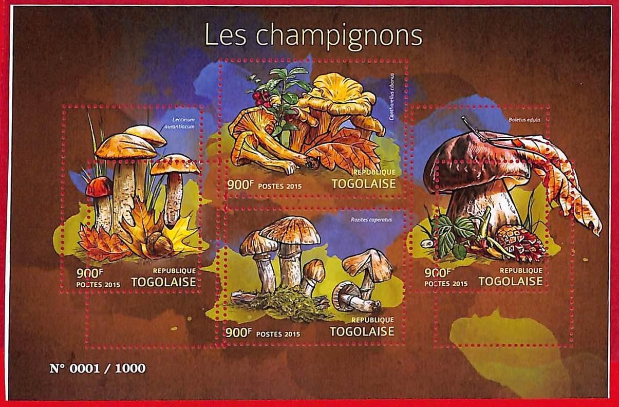 A3709 - TOGO  - ERROR MISPERF Stamp Sheet - 2015 - Mushrooms