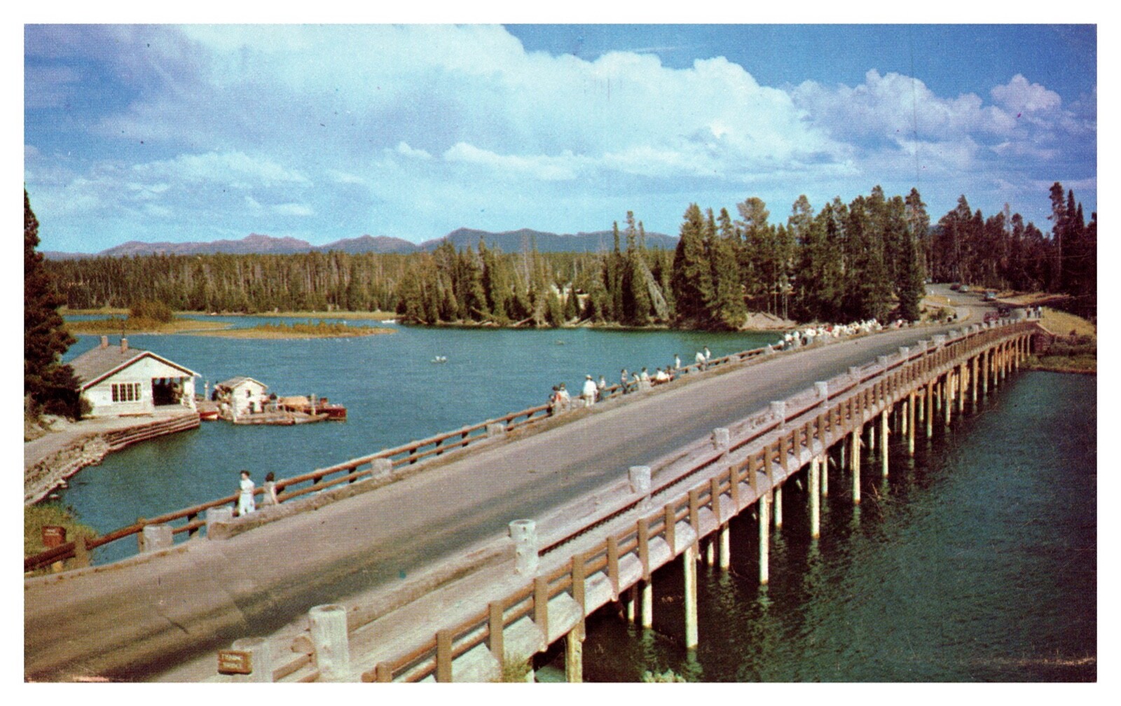 Yellowstone National Park WY Wyoming Fishing Bridge River Lake Chrome Postcard
