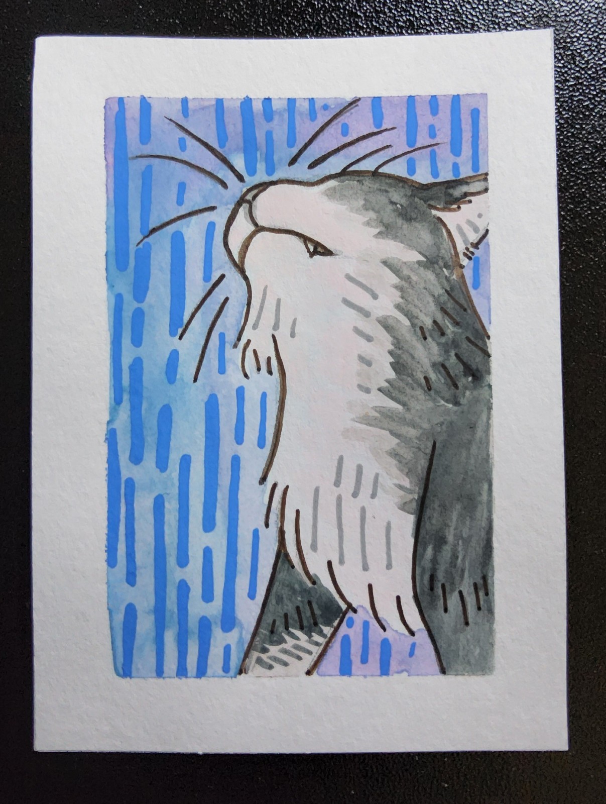 Cottagecore Upturned Cat Watercolor  ACEO Art Card Illustration by LeafSquid