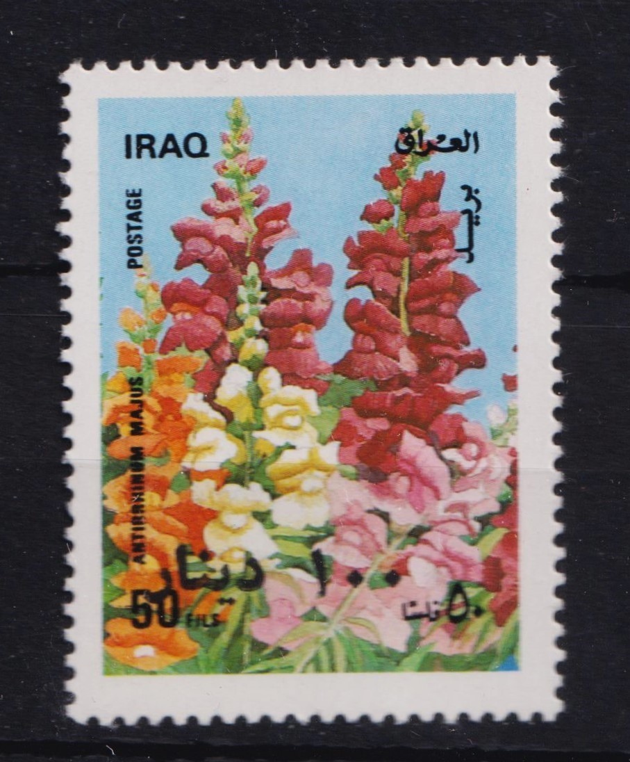 Iraq, 1996 Surcharged with 100 Dinar, SG # 2008, MNH See scans