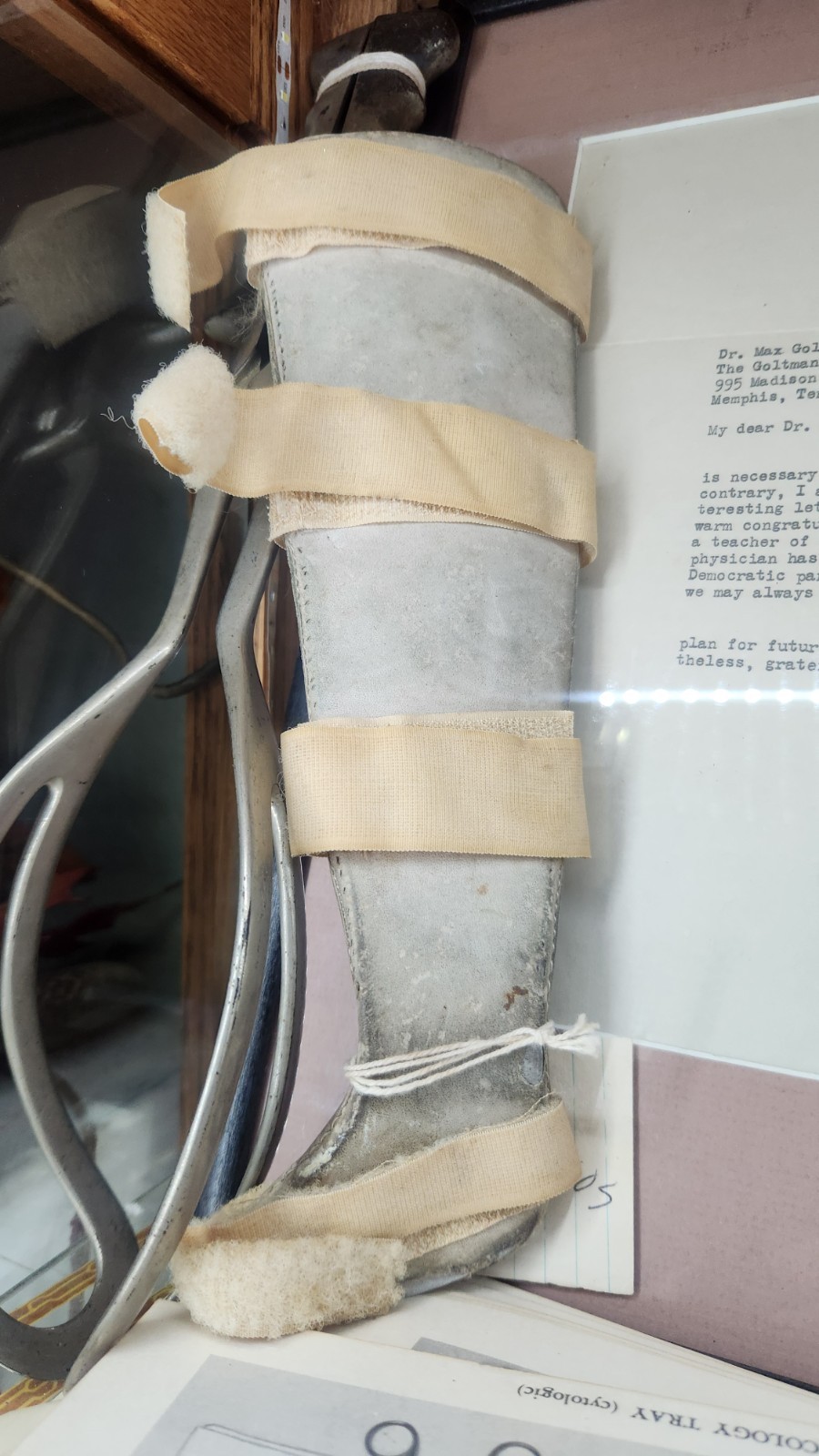 Antique Child Leg Splint Orthopedic Medical Teaching Specimen Early 1900s