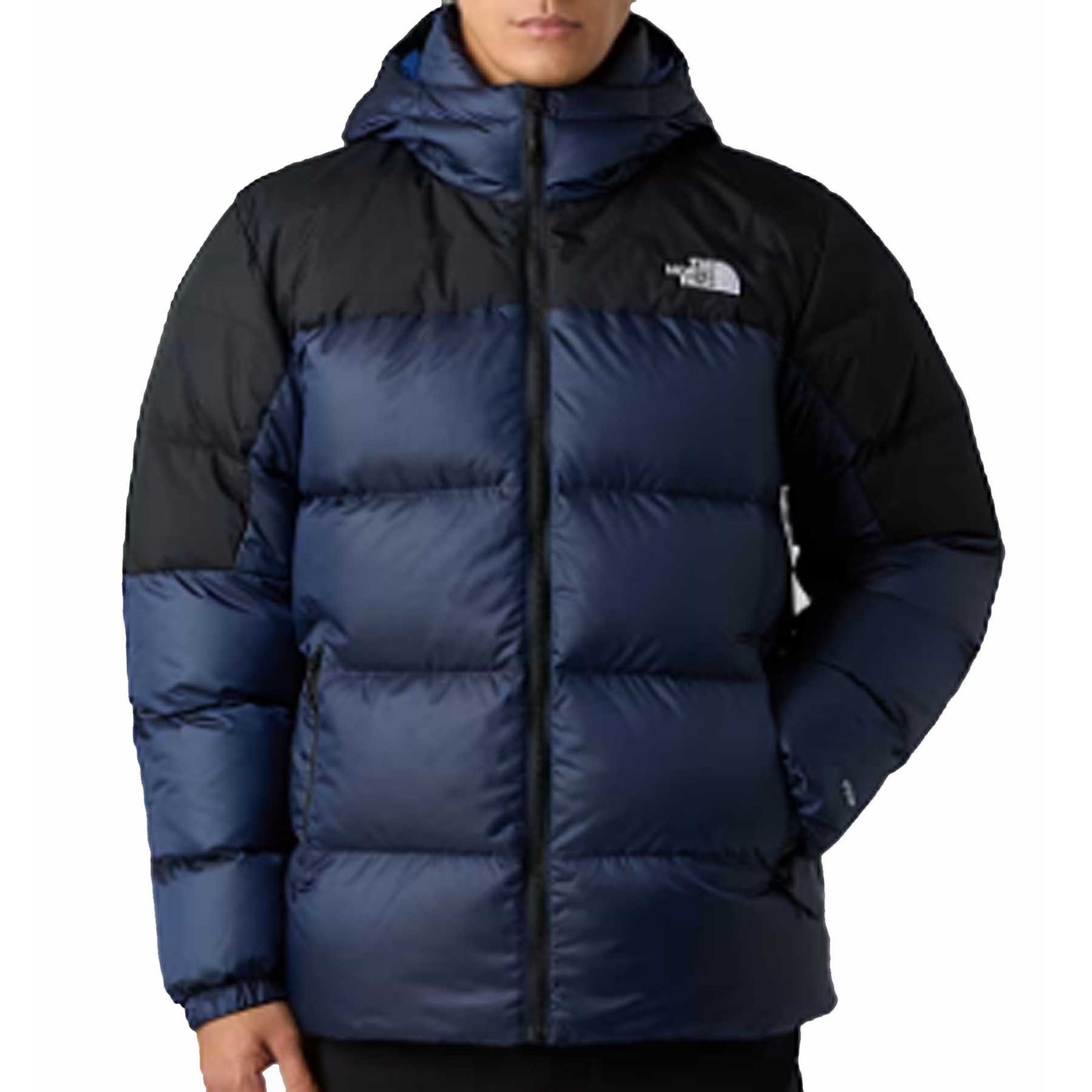 the north face mens jacket