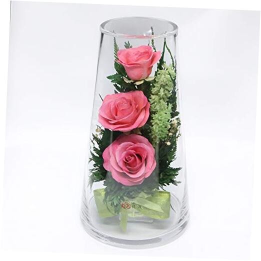  | Long Lasting Roses in a Sealed Glass Vase | Fresh Cut Roses – Preserved 
