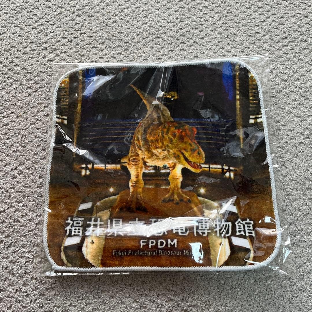 Fukui Prefectural Dinosaur Museum Hand Towel