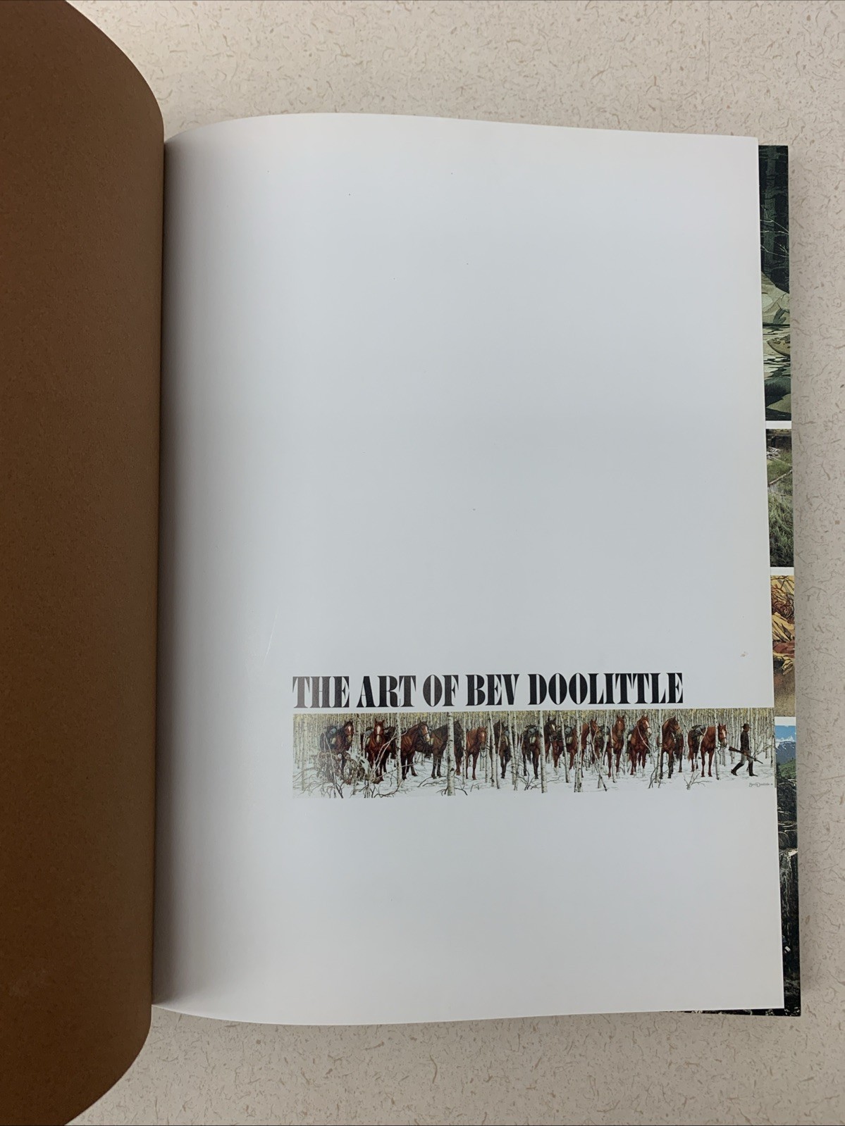 Bev Doolittle - The Art of Bev Doolittle  Bantam Hardcover  SIGNED & Dated