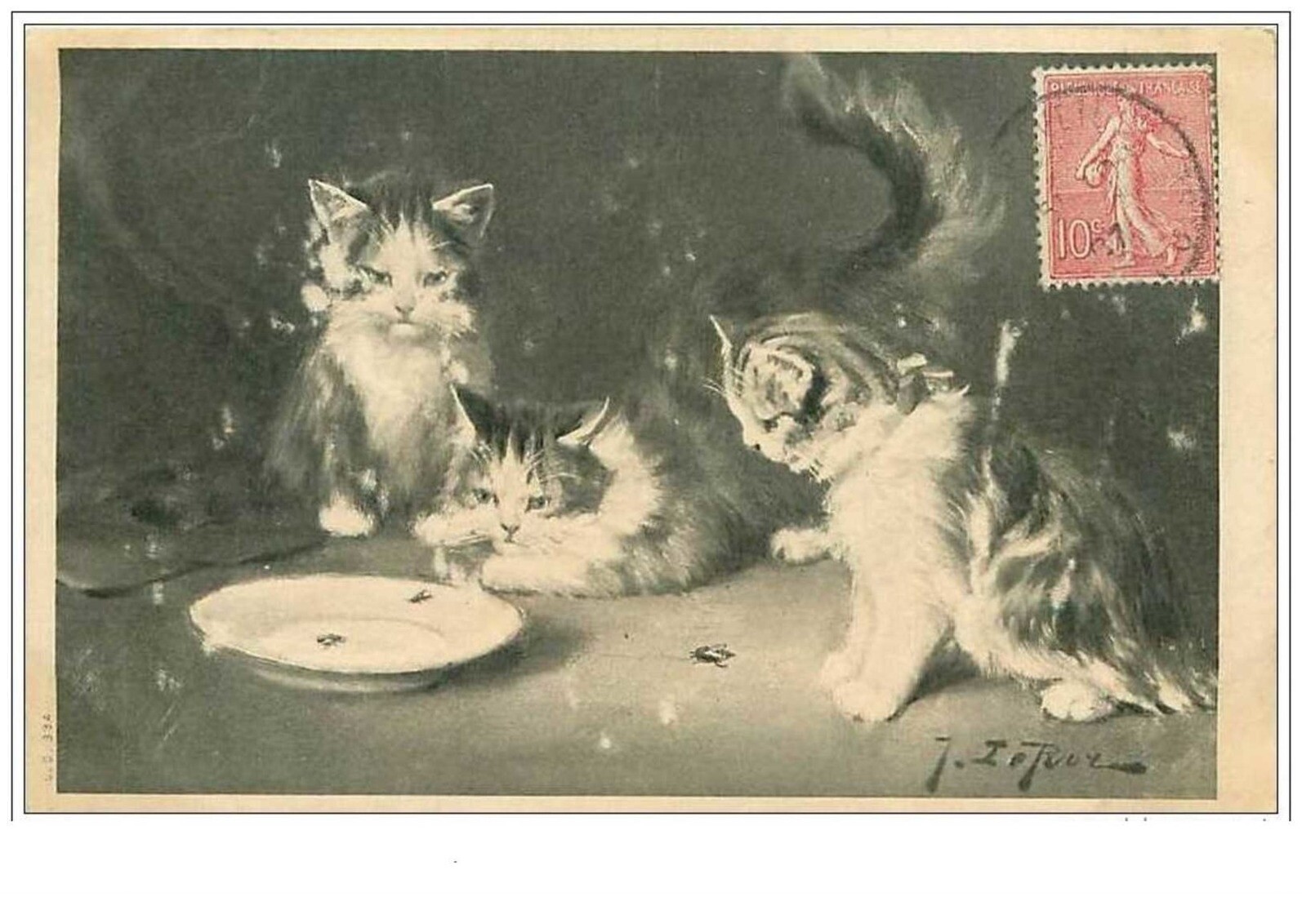 Cats No. 815 Observing Insects Missing