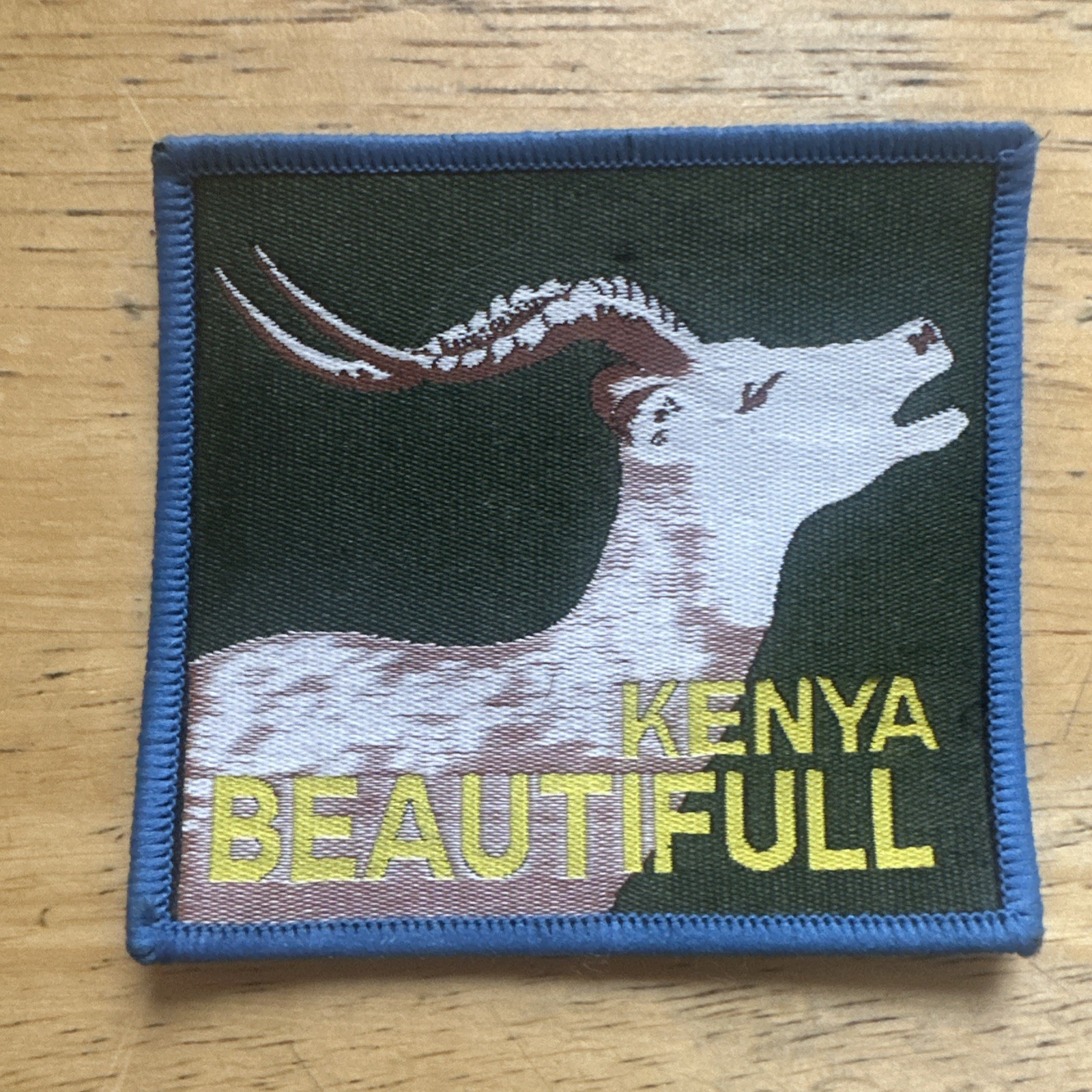 Kenya Safari African  Souvenir Round Embroidered Patches