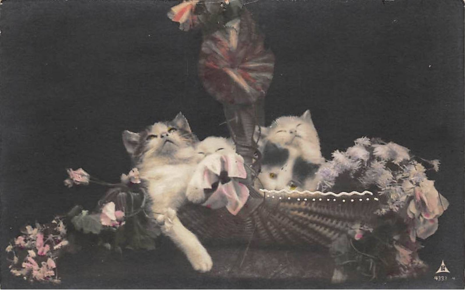 Cats - No. 77021 - Cats Sleeping In A Basket