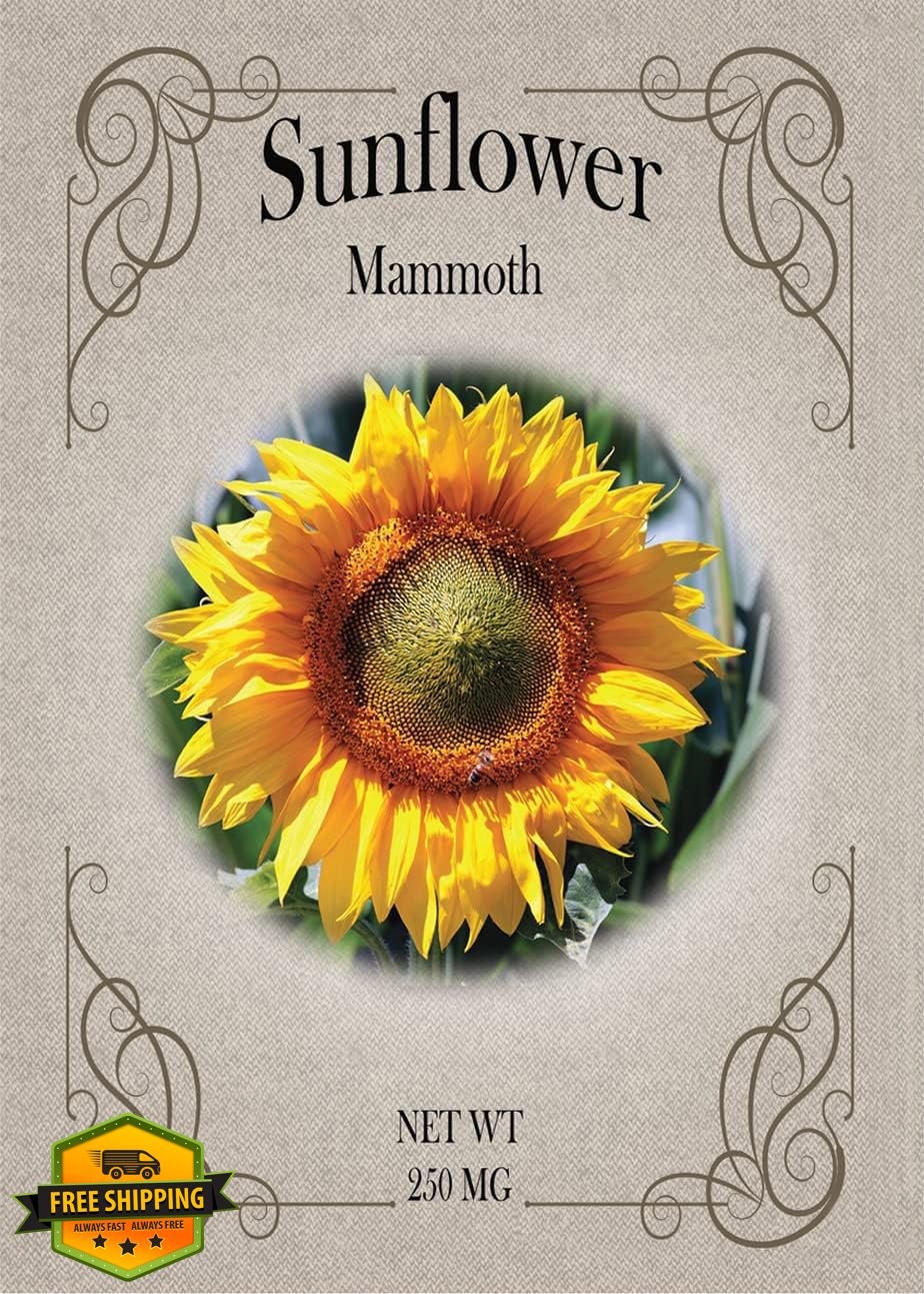 Black Duck Mammoth Sunflower Seeds Bulk Flower Seed Packets