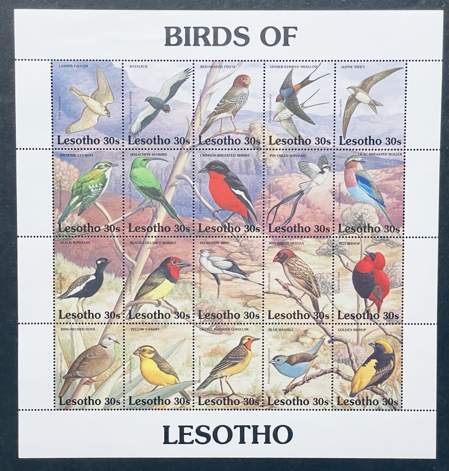 LESOTHO BIRDS STAMP SHEET MNH 1992 SWALLOW CANARY FINCH CUCKOO BIRD WILDLIFE
