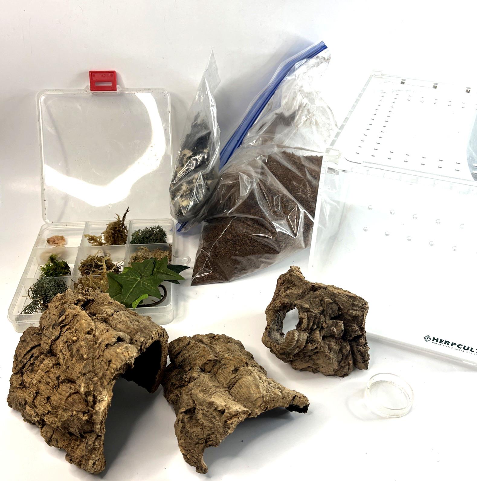 Tarantula Terrarium Reptile Insect Tank Habitat Locking Acrylic Box 8x6x6 + more