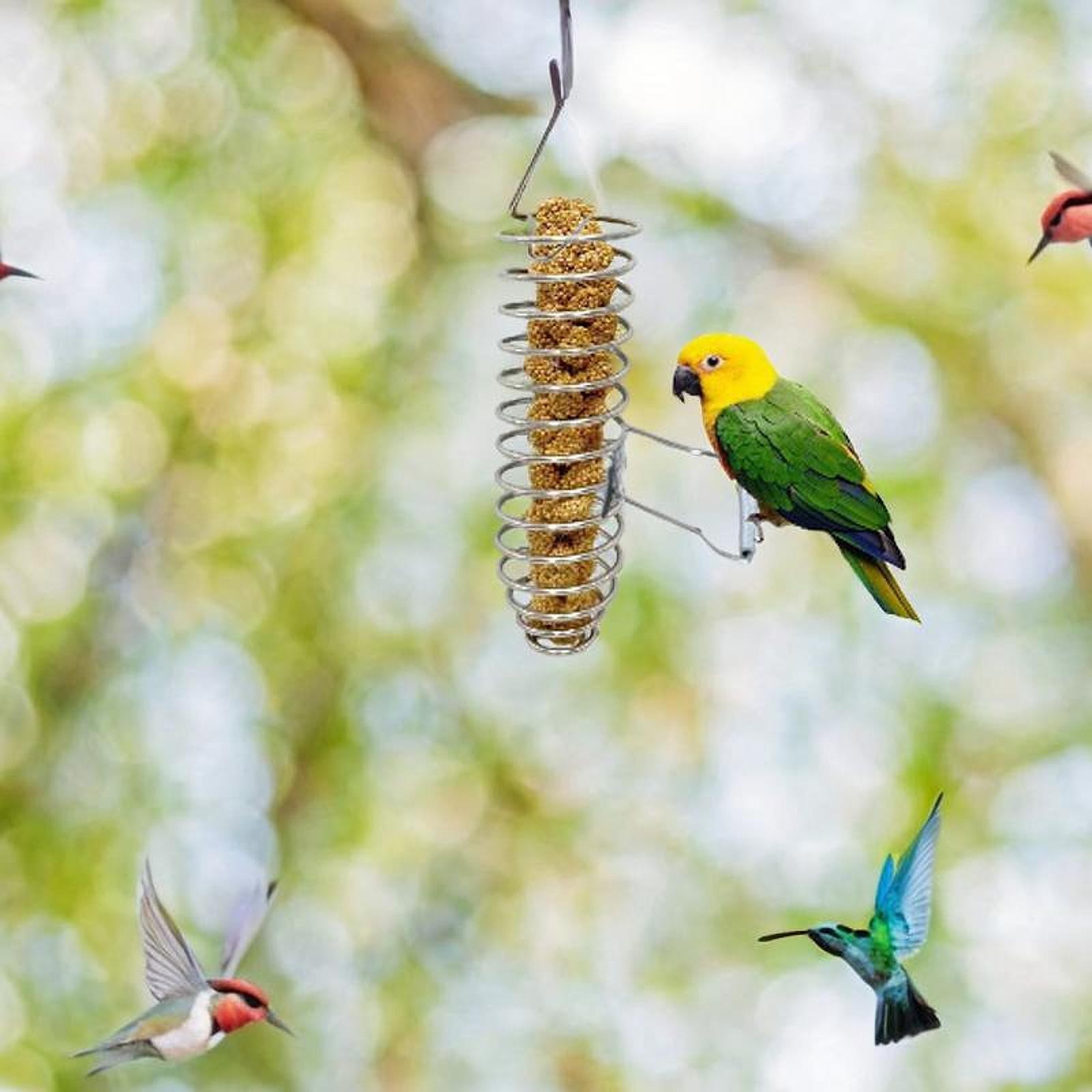 Parrot Basket Bird Foraging Toy Parrot Treat Fruit Vegetable Holder Stainless