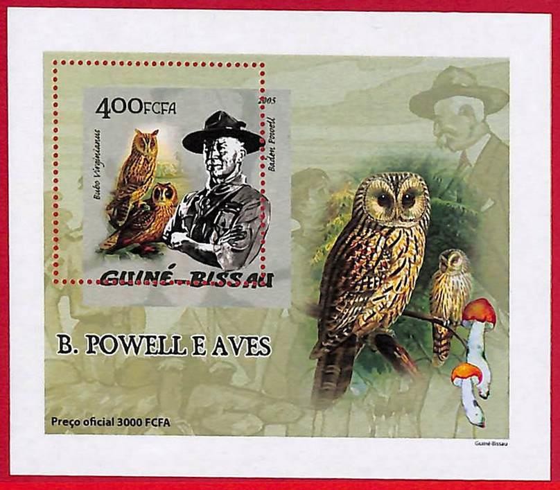 A5271 - GUINE-BISSAU - ERROR MISPERF Stamp Sheet - 2005 - Birds Owls SCOUTS
