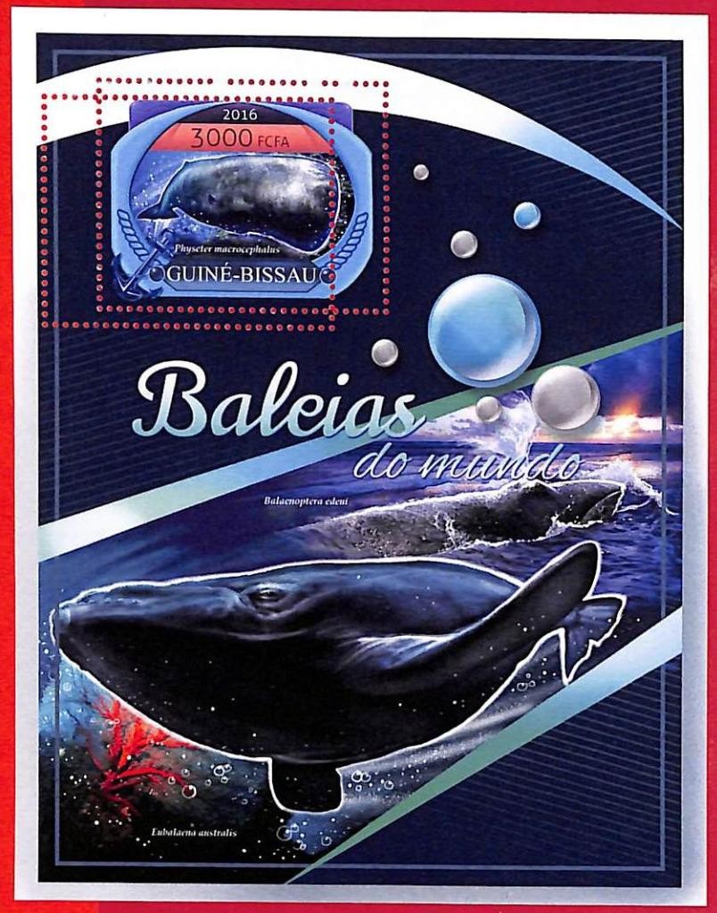 A5336 - GUINE-BISSAU - ERROR MISPERF Stamp Sheet - 2016 - Whales of the world