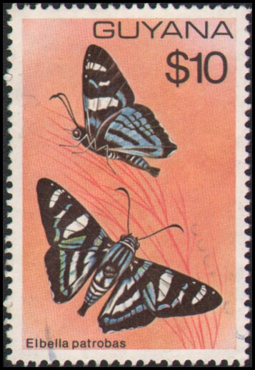 Guyana #289A Used