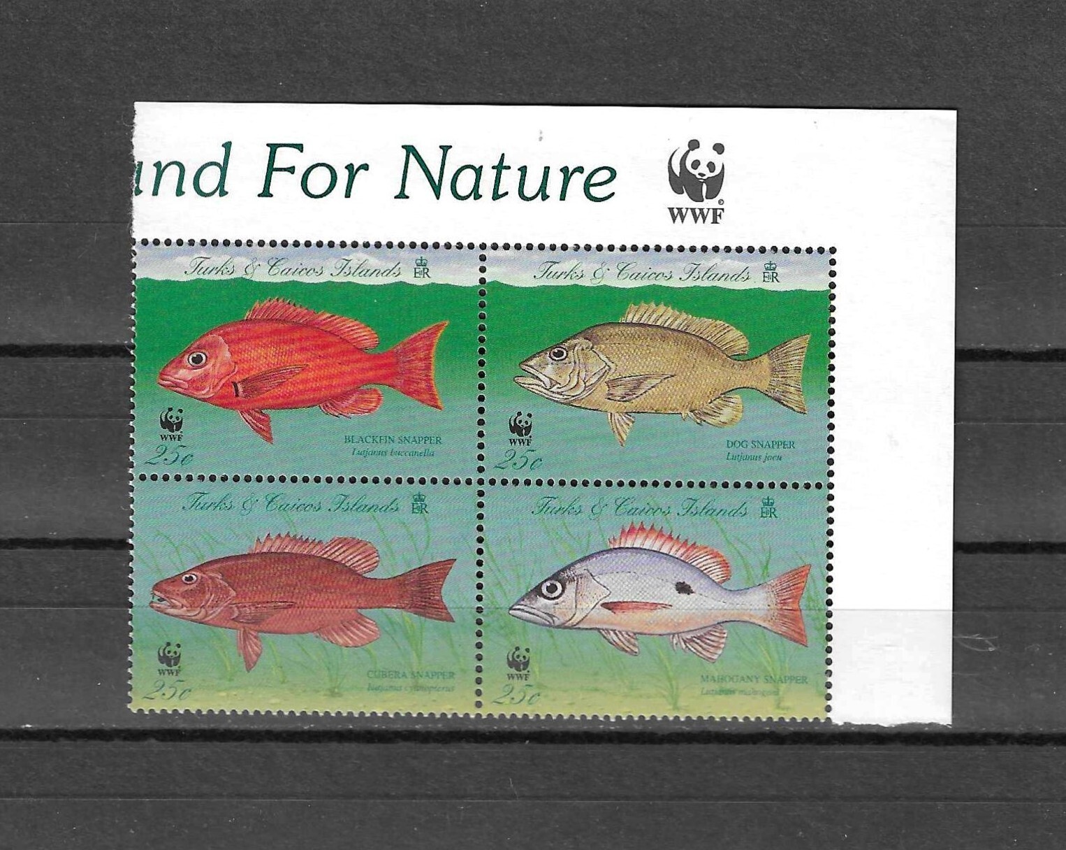 TURKS & CAICOS ISLANDS 1998 WWF SG 1479/1482 MNH