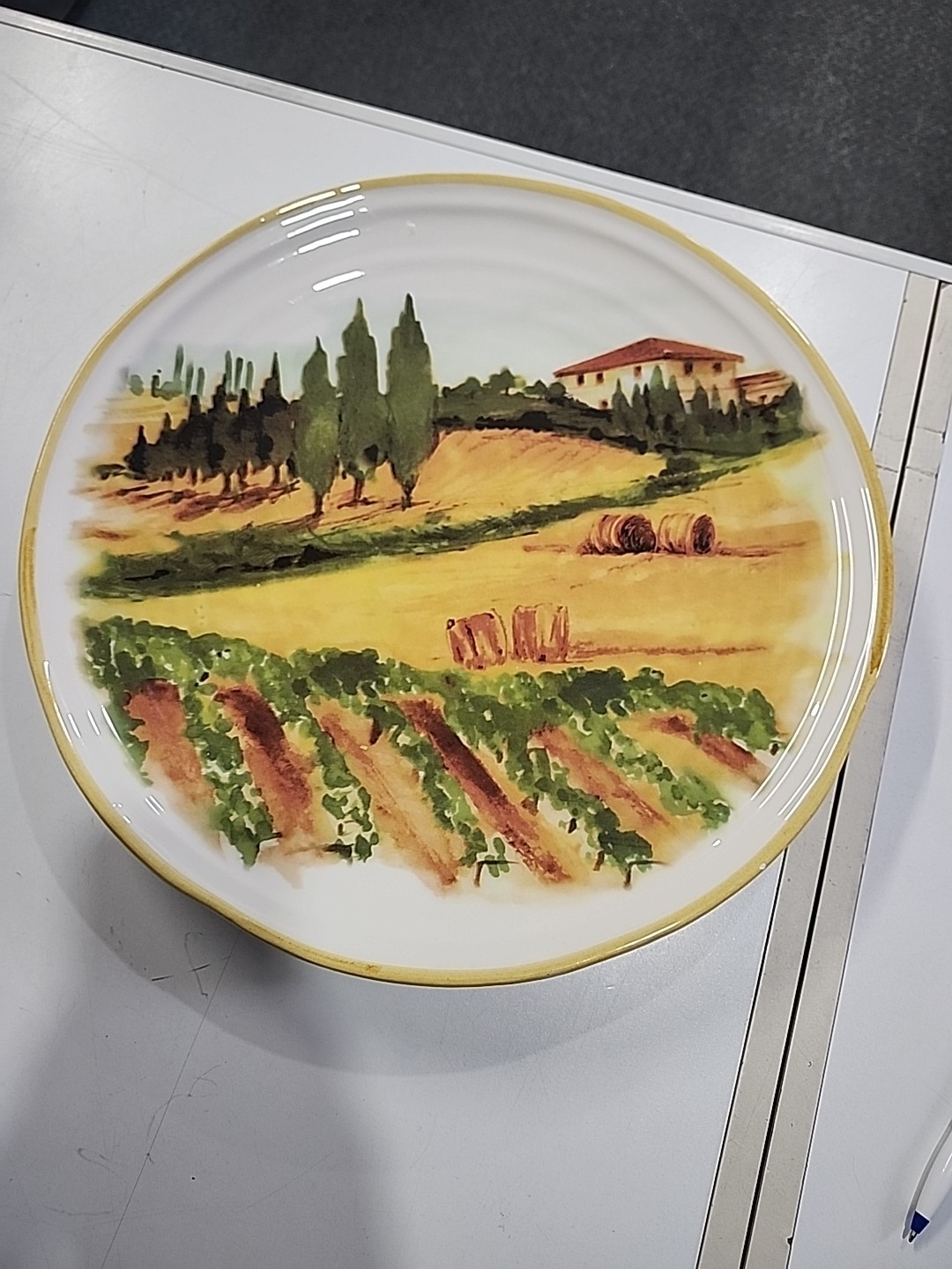 15 1/4" LARGE Charger Platter Opificio Etico Ceramiche Plate Dish ITALY Tuscan