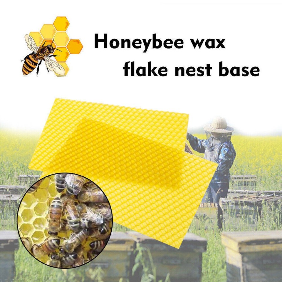10/30PCS Natural Apis Sheets Bee Frames Honeybee Wax Flake Nest Beekeeping Tool