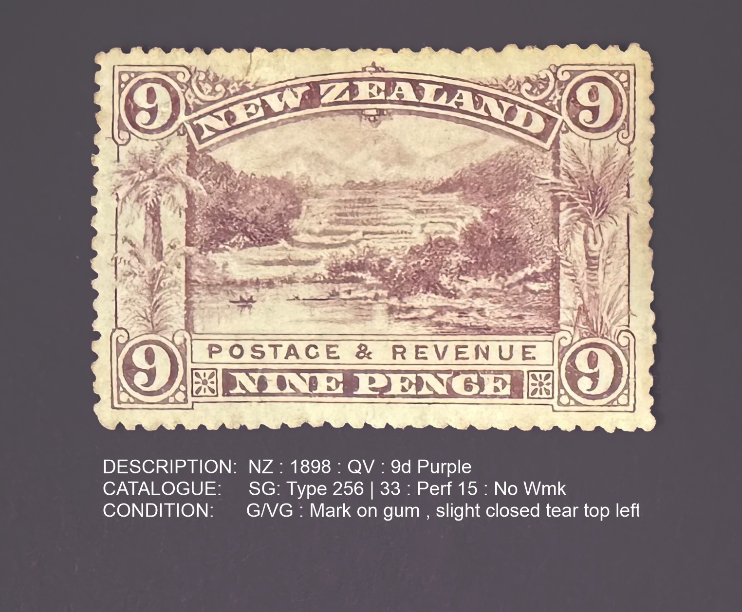 New Zealand | 1898 | SG 256 | 9d Purple | Fine MH