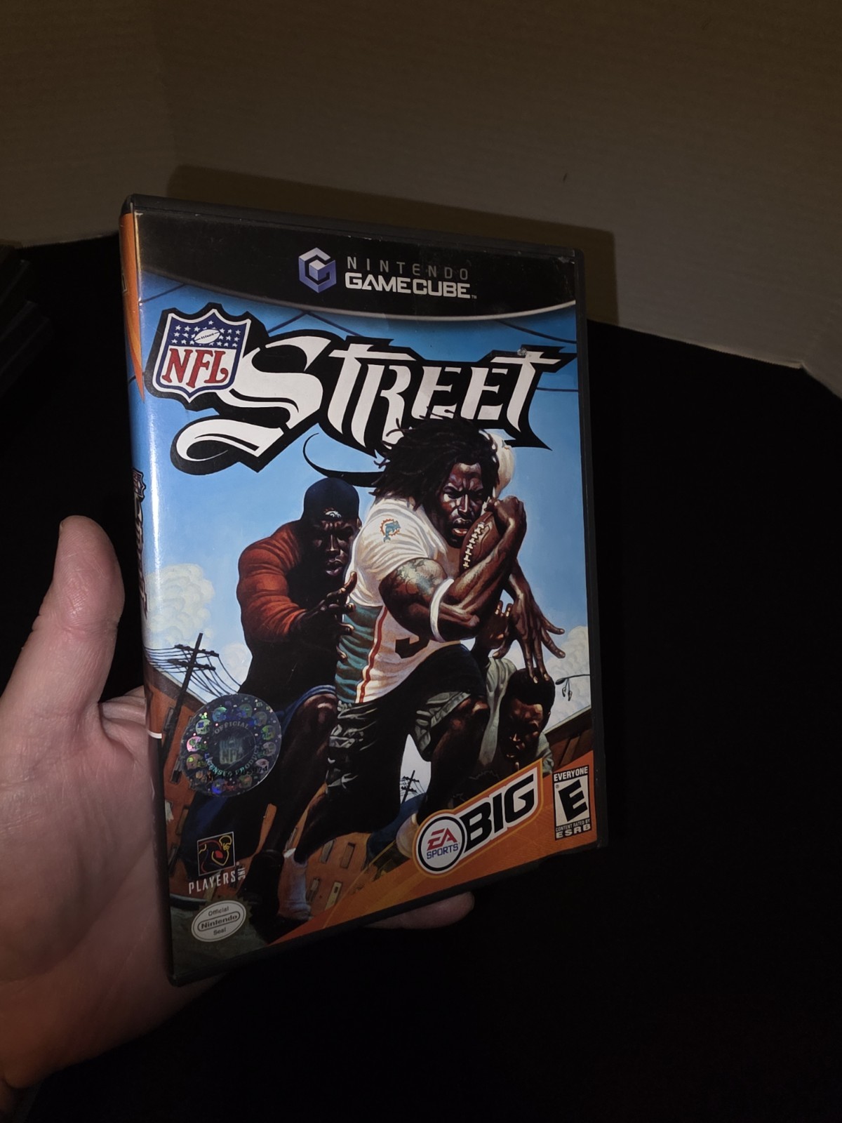 Gamecube NFL Street Game  Case And Book Only