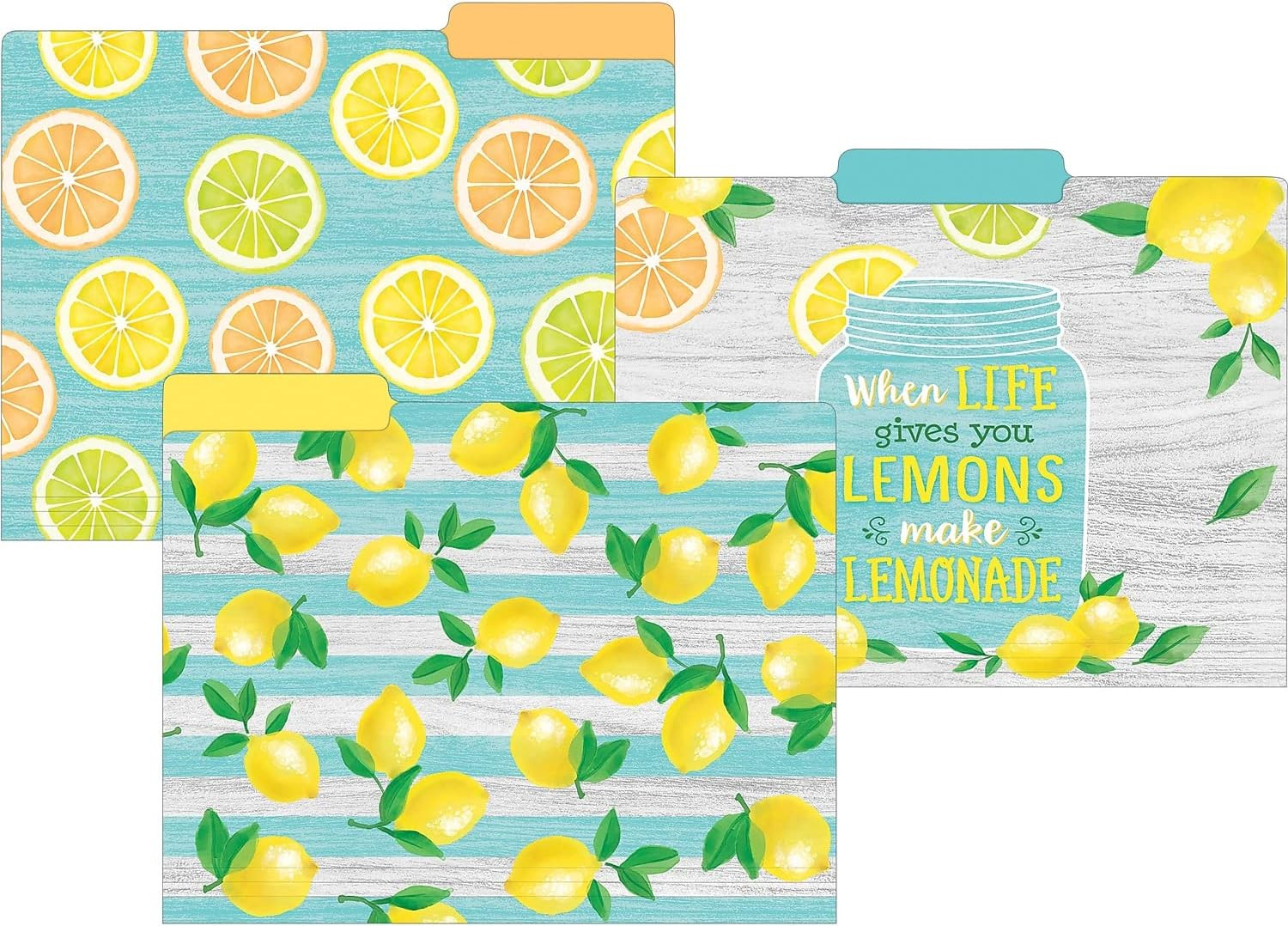 Lemon Zest File Folders (TCR8542)