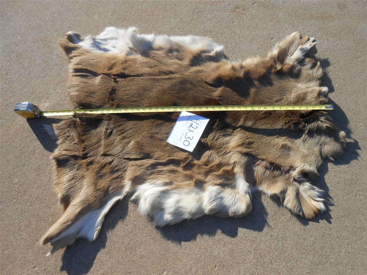 WHITETAIL DEER HIDE PELT PROFESSIONAL TANNED WITH HAIR ON WISCONSIN RUG WI WIS