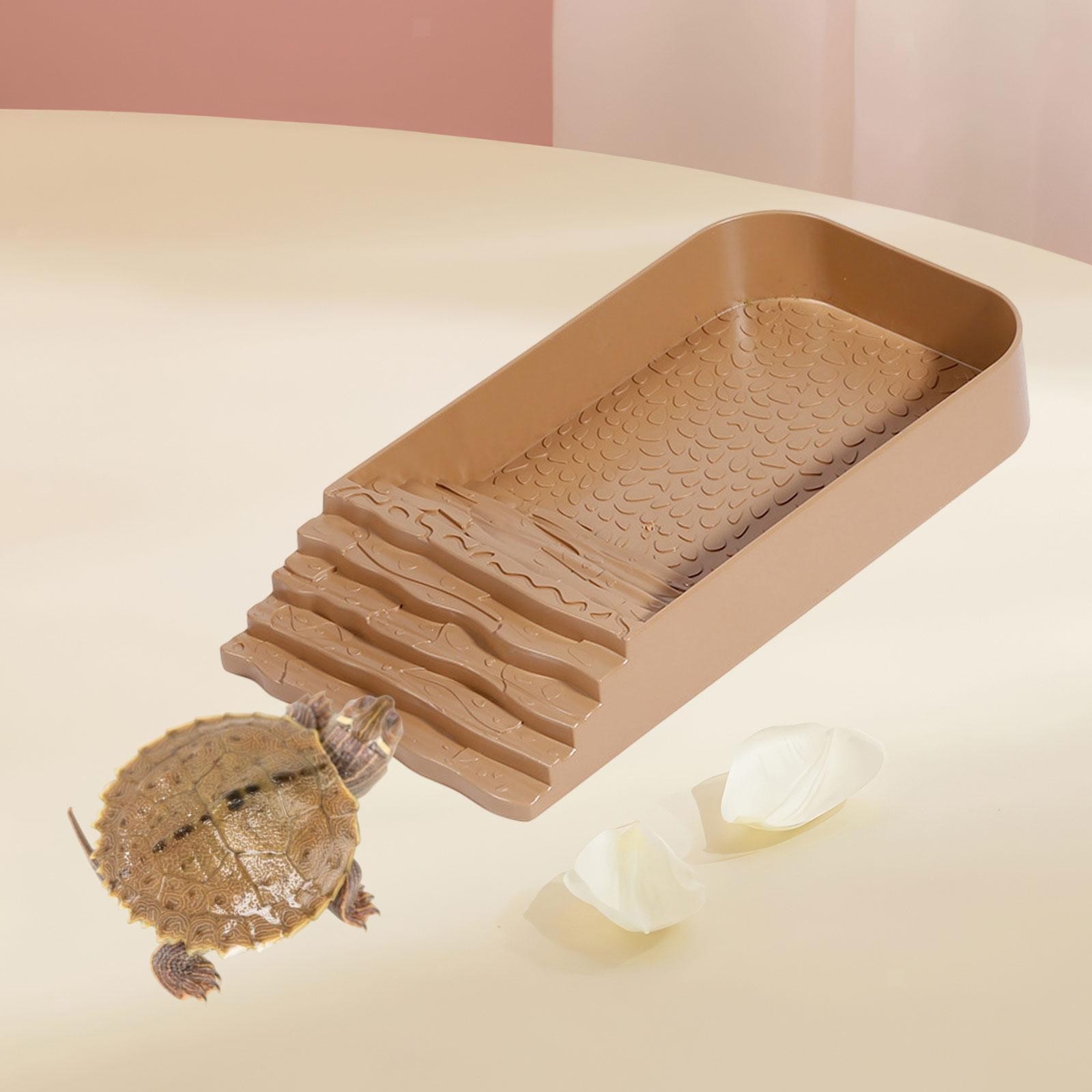 Reptile Feeding Dish Tortoise Food Dish Terrarium Accessories Decoration