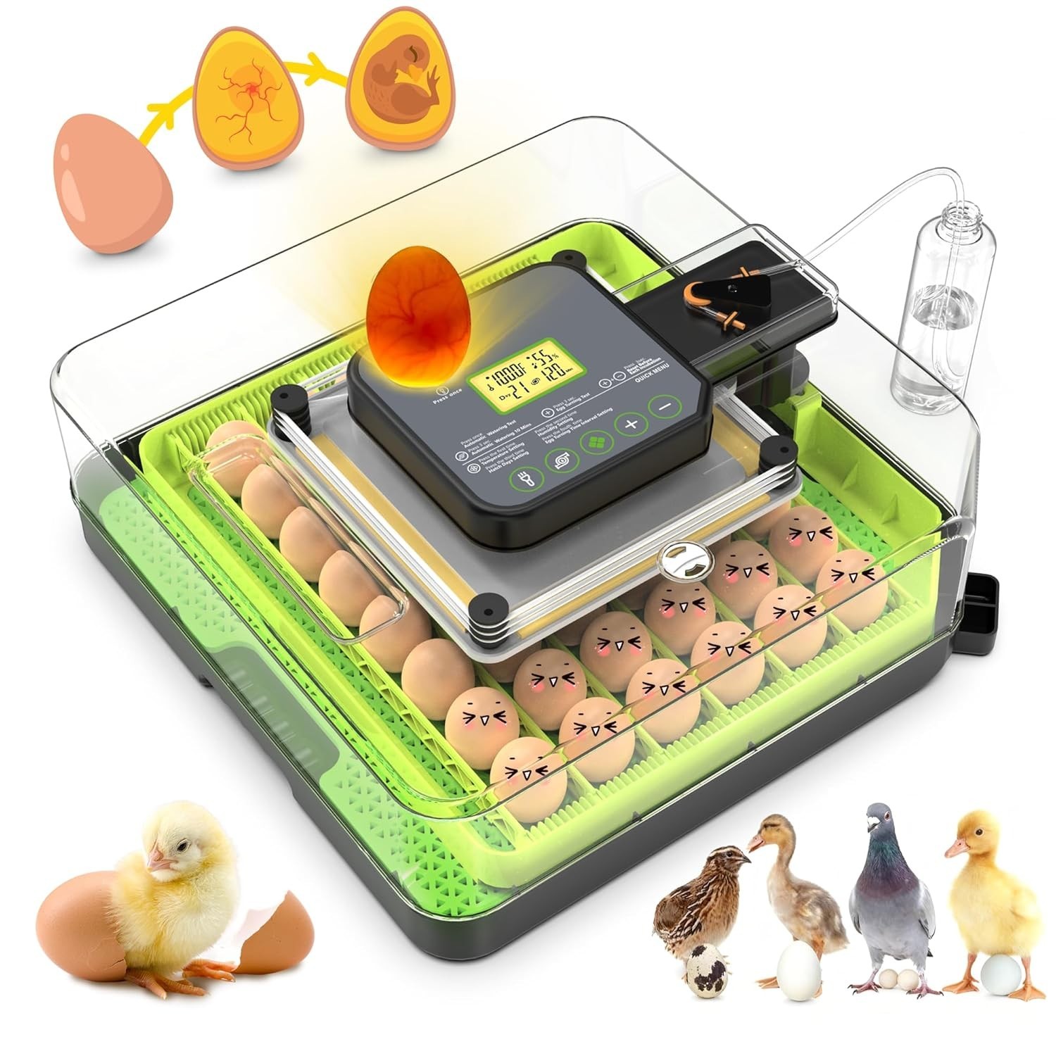 48 Egg Incubator for Hatching Eggs with Automatic Egg Turning, Temperature & Hum