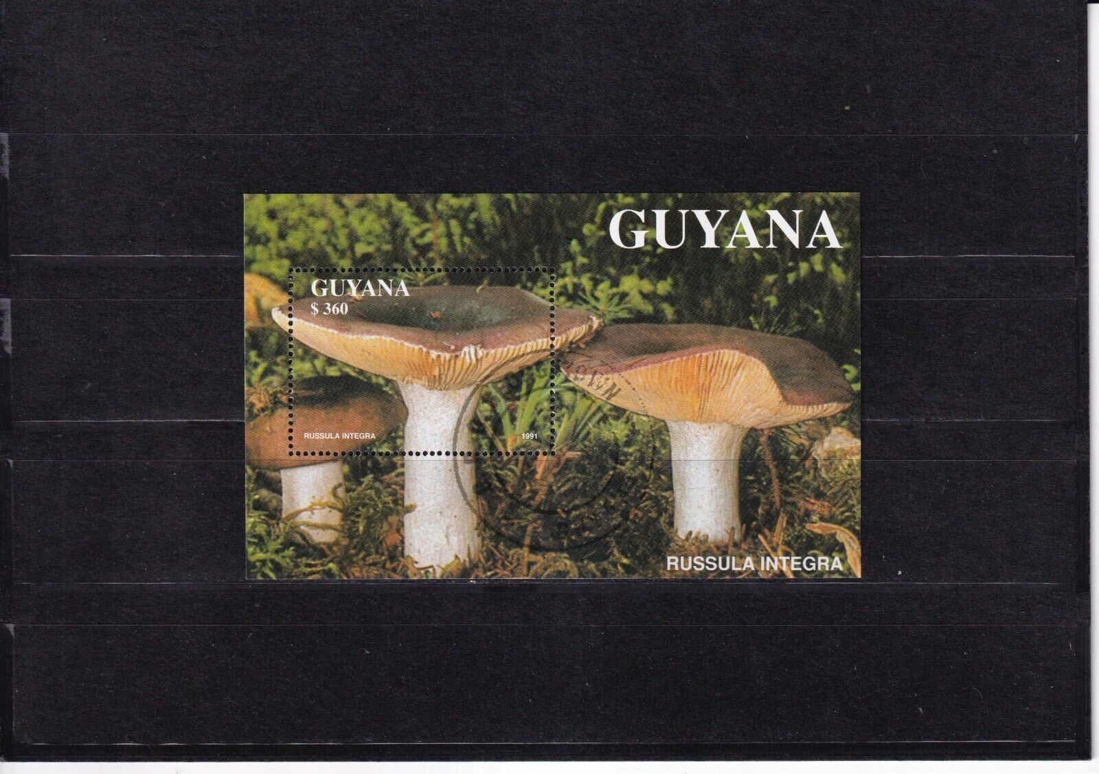 SA33j Guyana 1991 Mushrooms used minisheet
