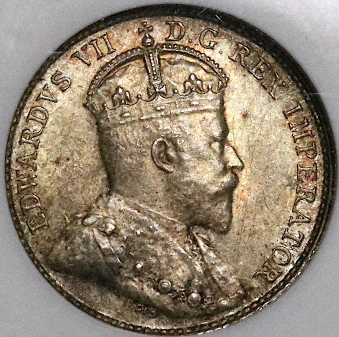 1903 NGC MS 62 Canada 5 Cents Edward VII Silver Sterling Coin (21111802C)
