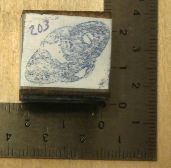 letterpress stamp #203 planet