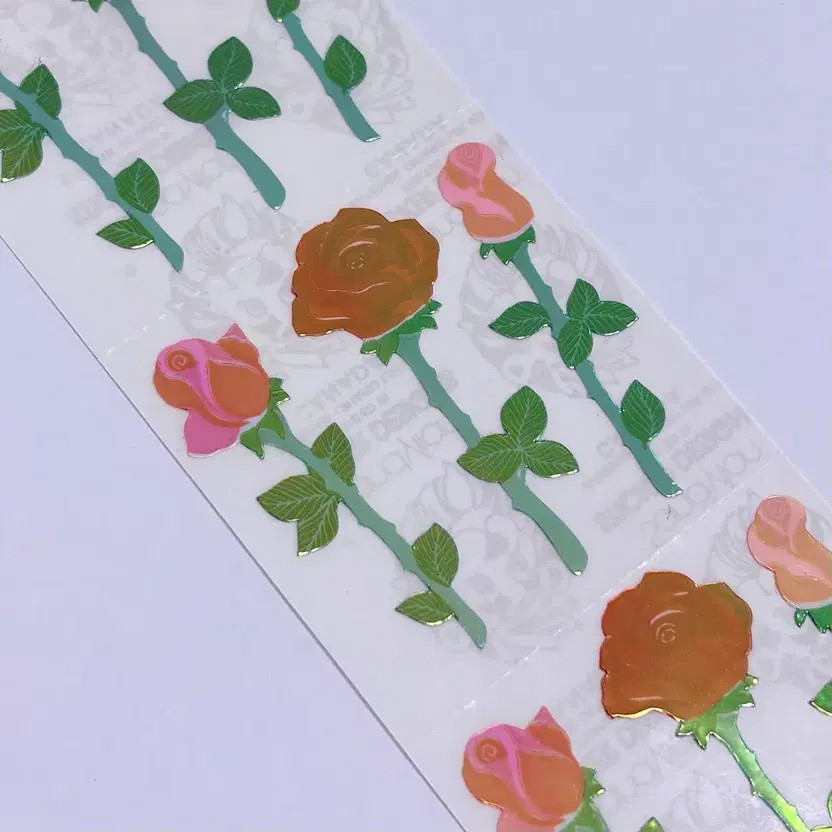 Sandy Lion Rose Pearl Stripe