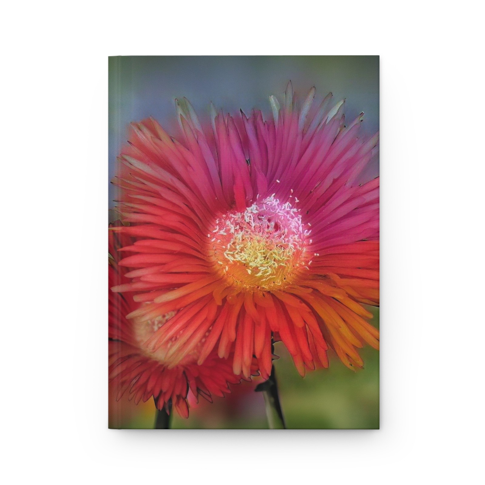 Vibrant Pink Orange Daisy Hardcover Journal | Floral Notebook