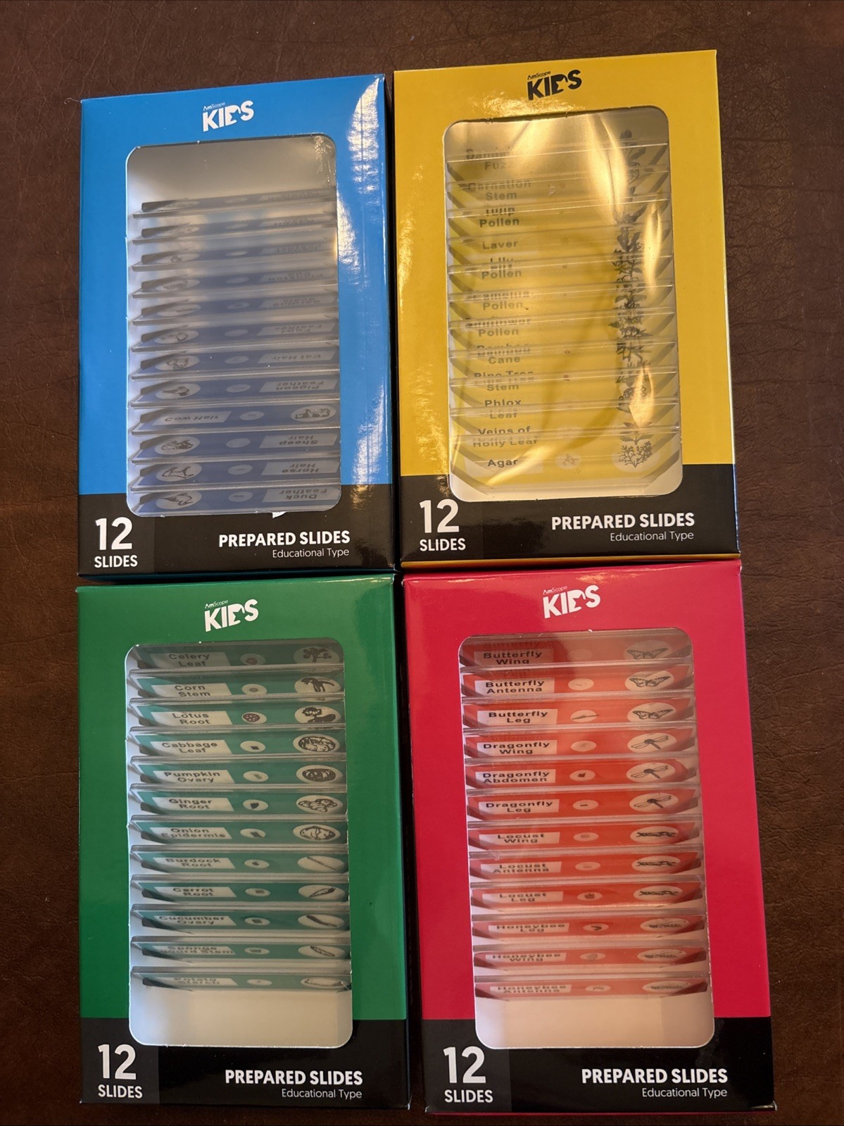 48pc Color-coded Prepared Plastic Microscope Slides Bird Fish Mammal Insect