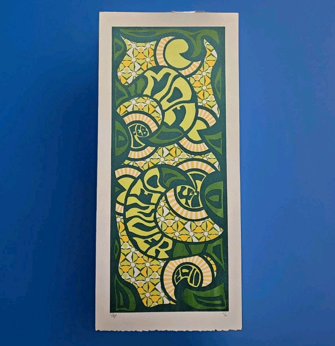 51/60 Signed Ltd Ed MOE Silkscreen Art Print Concert Poster Denver Colorado 2011