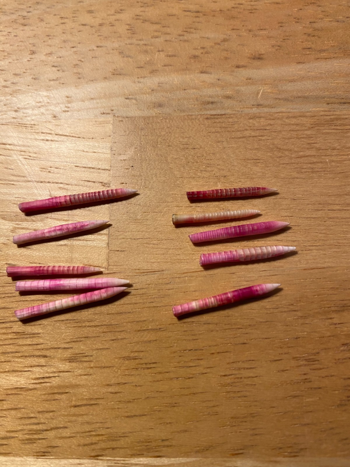 10 Cactus/Thorn Needles-handmade for Victrola