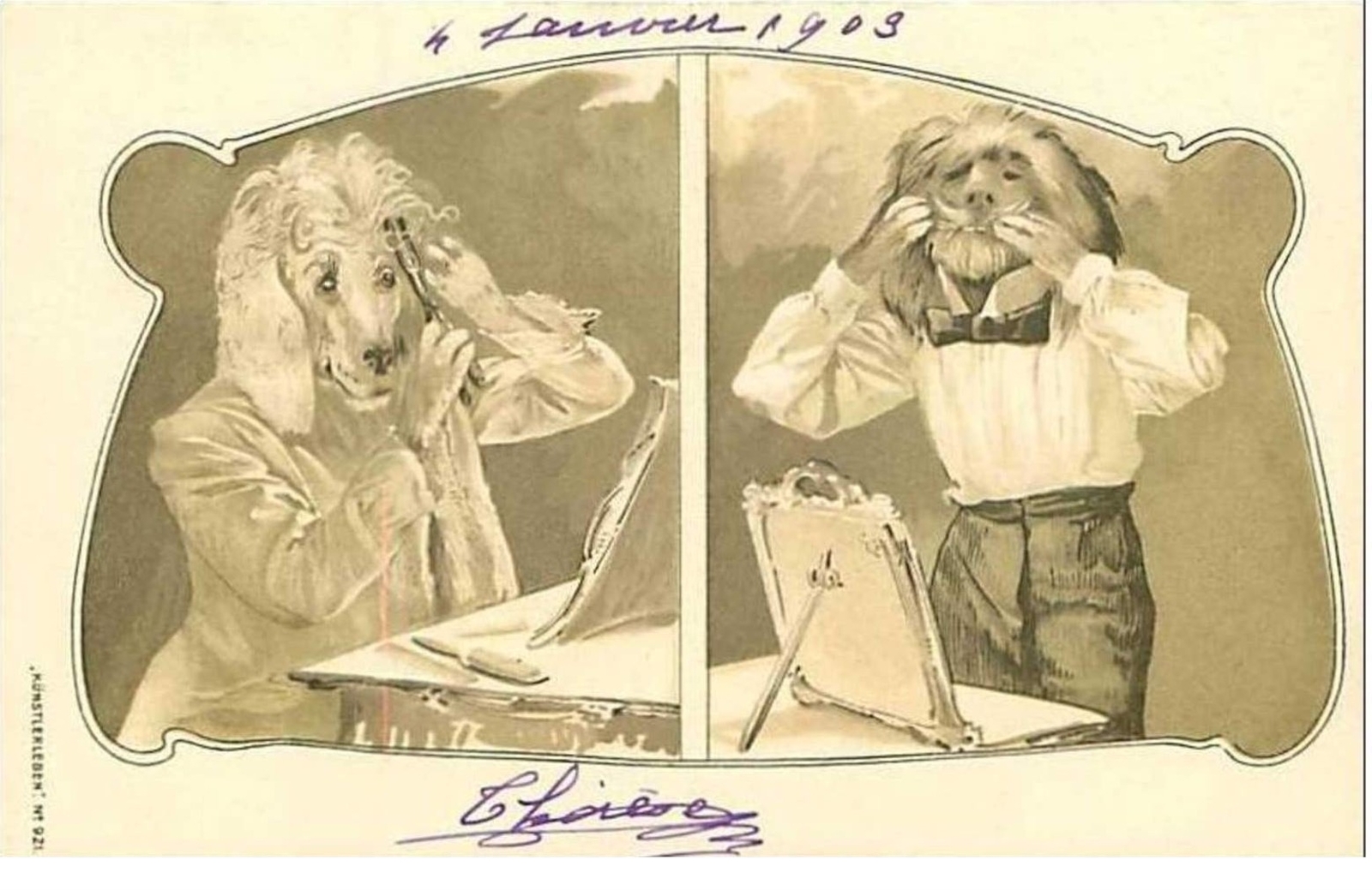 Dog Costumes Preparing And Grooming