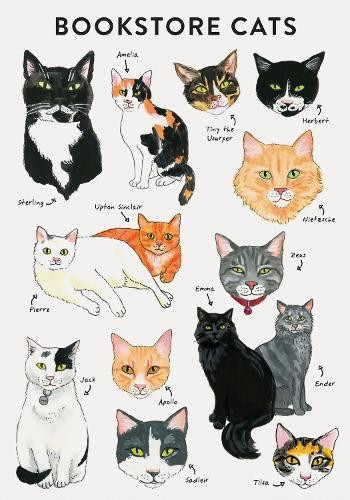 Jane Mount Bibliophile Flexi Journal: Bookstore Cats (Notebook) Bibliophile