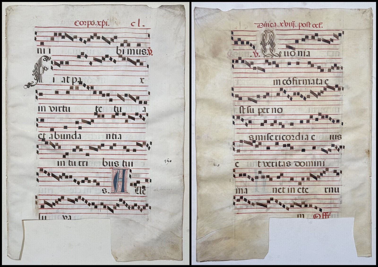 Antiphonar Antiphonary Parchment Vellum Manuscript 15th Century CL