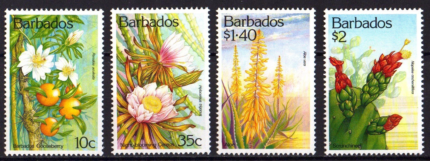 BARBADOS 1993 Cacti  Michel 811/4  MNH  W2505