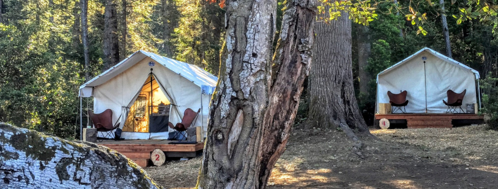 🌿For Sale: Mendocino Grove Gift Certificate – Luxury Glamping Retreat