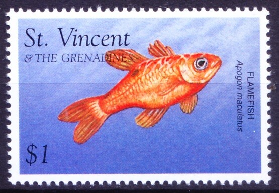St. Vincent & The Grenadines 1996 MNH, Flamefish, Fish Marine life  