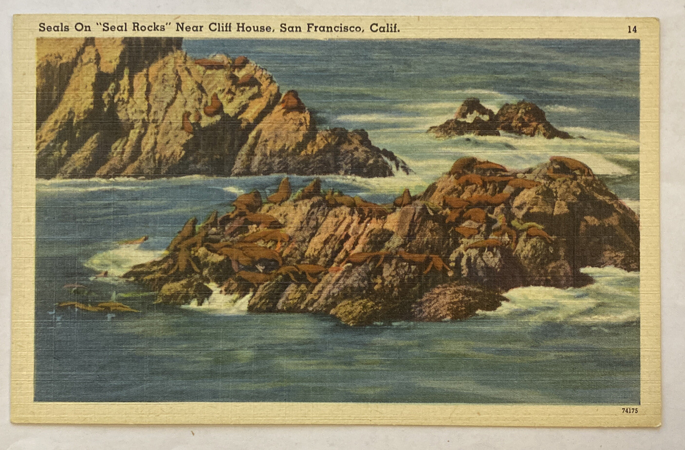 Vintage Postcard, Seal On Seal Rocks Near Cliff House, San Francisco, California